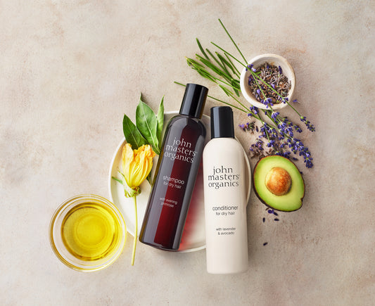Our Best Dry Hair Duo - Reimagined