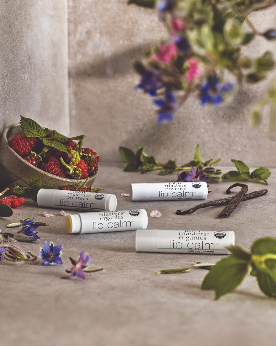 Lip Calm Raspberry – John Masters Organics